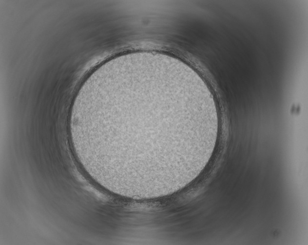 X0000115610625200912221208