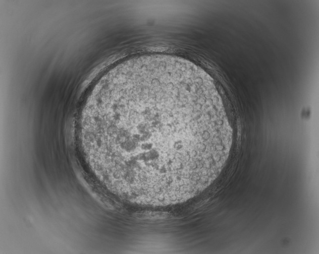 X0000115610626200912221208
