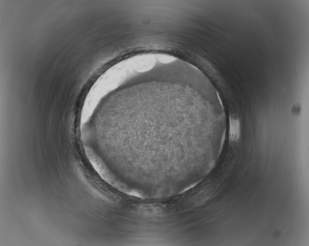 X0000115610627200912221208