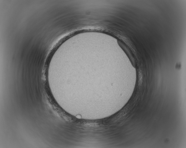 X0000115610628200912221208