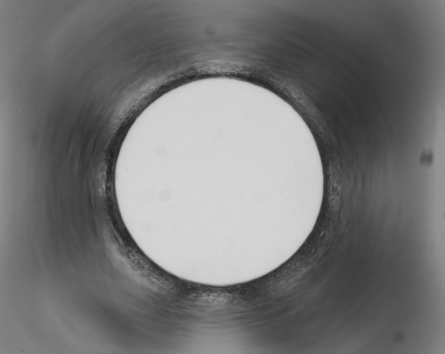 X0000115610631200912221208