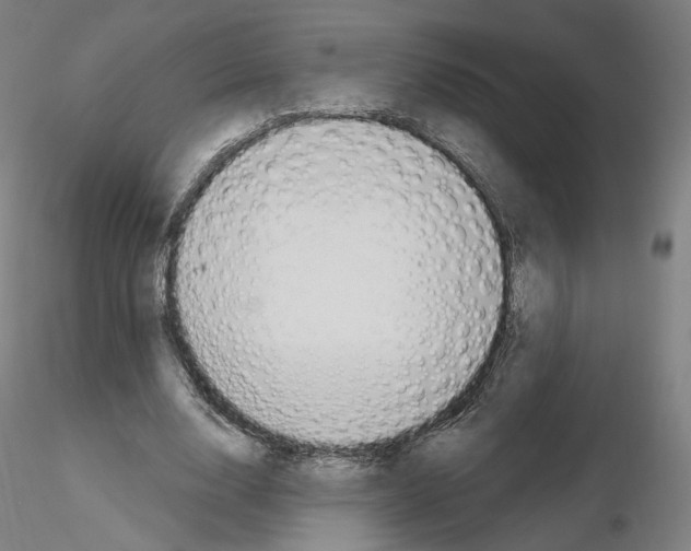 X0000115610632200912221208