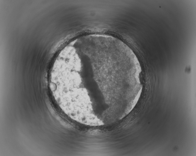 X0000115610634200912221208
