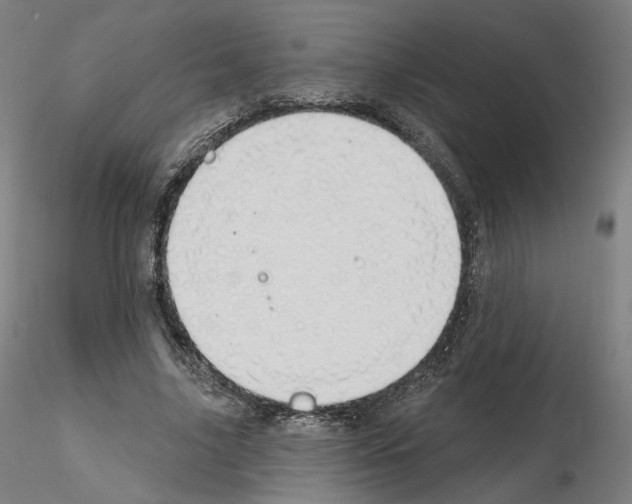 X0000115610635200912221208