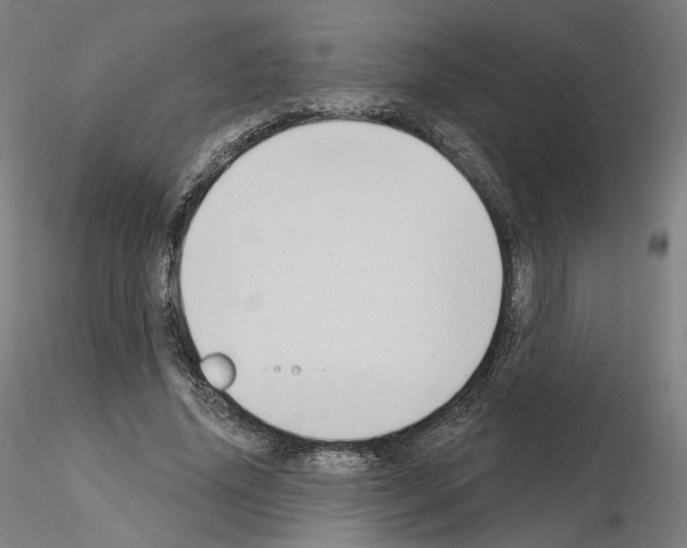 X0000115610636200912221208