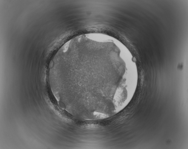 X0000115610637200912221208