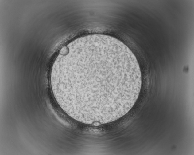X0000115610638200912221208