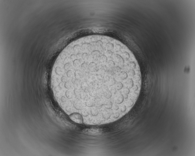 X0000115610639200912221208