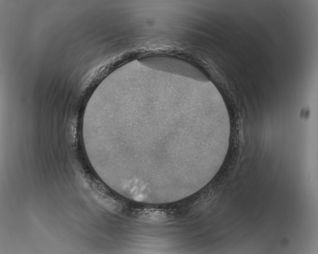 X0000115610640200912221208