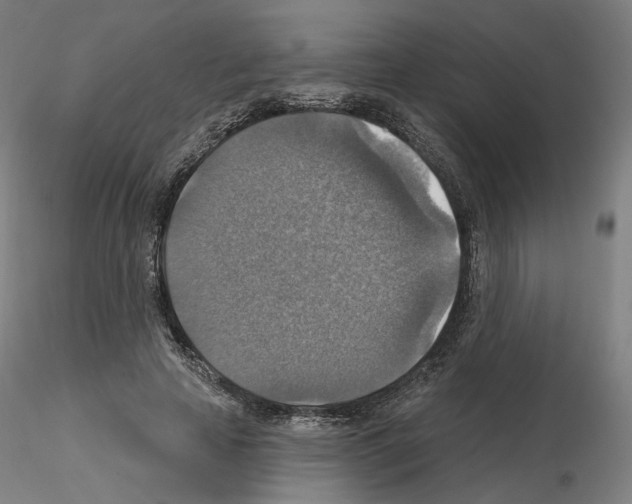 X0000115610641200912221208