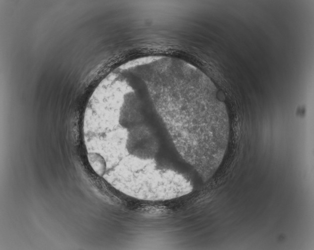 X0000115610642200912221208