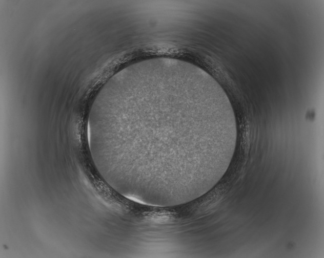 X0000115610643200912221208