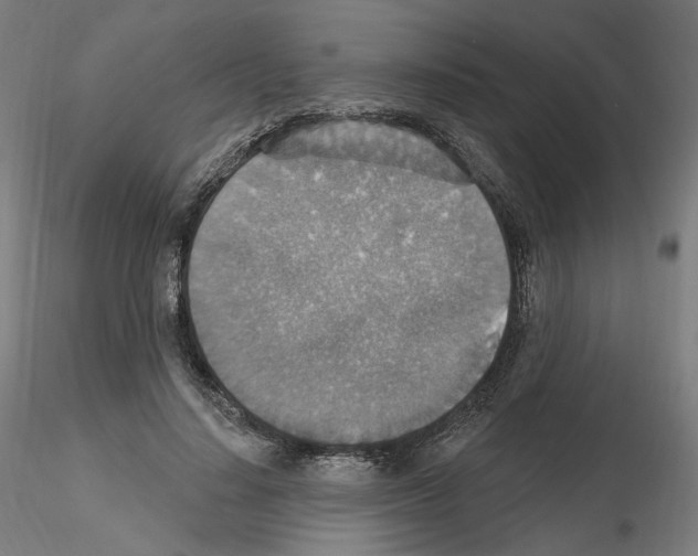 X0000115610644200912221208