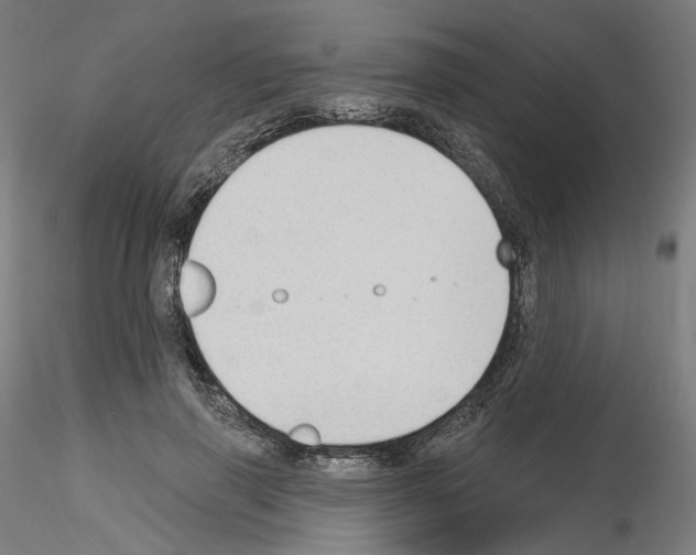X0000115610645200912221208