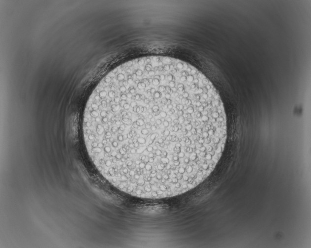 X0000115610646200912221208