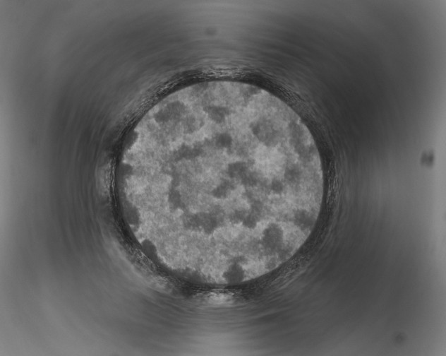X0000115610647200912221208
