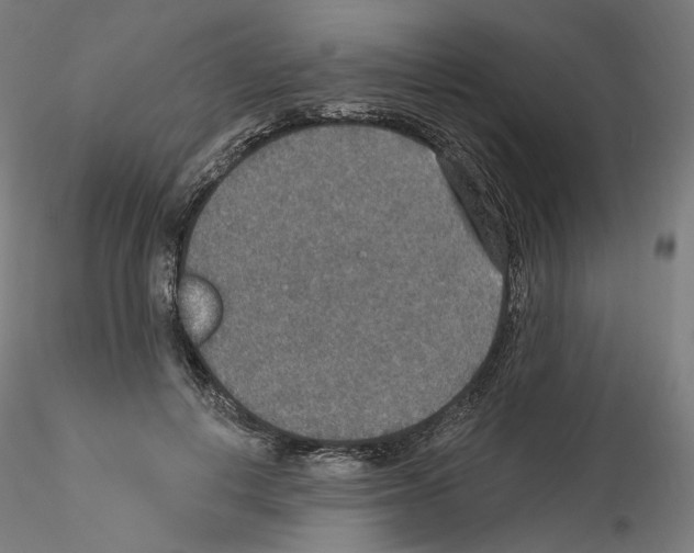 X0000115610648200912221208
