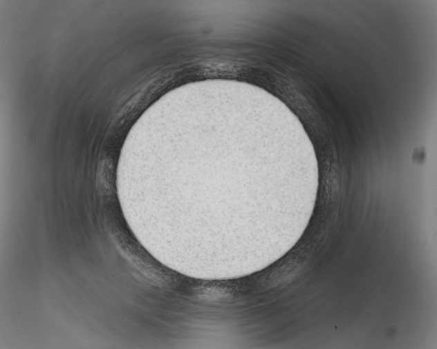 X0000115610649200912221208