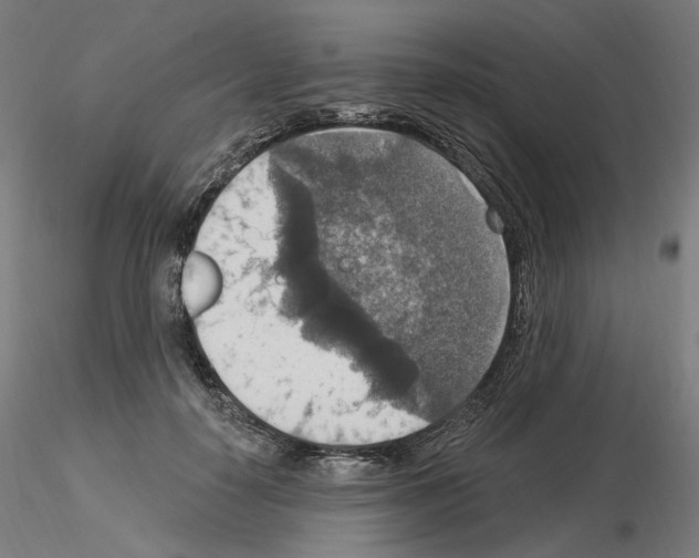 X0000115610650200912221208