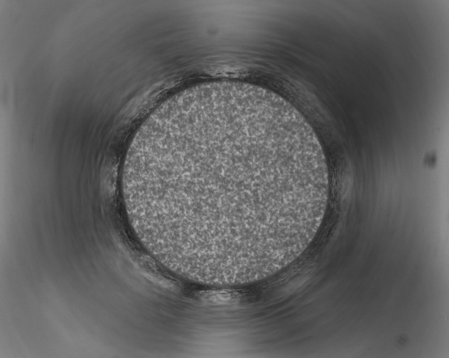 X0000115610652200912221208