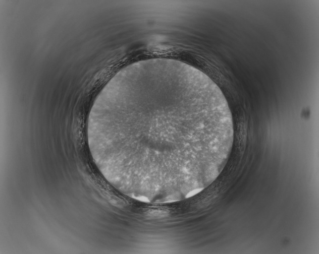 X0000115610653200912221208
