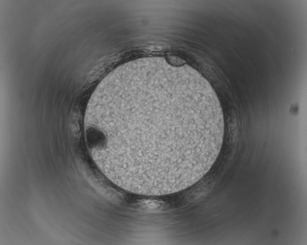 X0000115610654200912221208