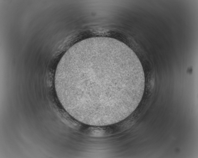 X0000115610658200912221208