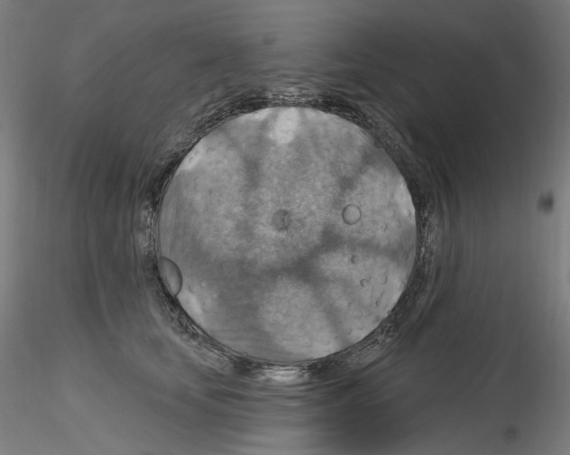 X0000115610659200912221208