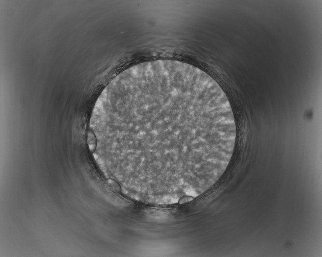 X0000115610661200912221208