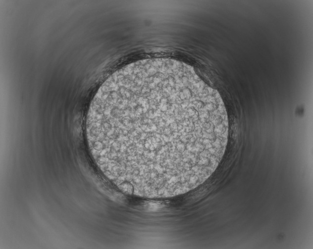 X0000115610662200912221208