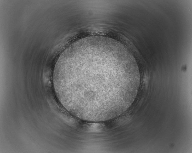 X0000115610663200912221208
