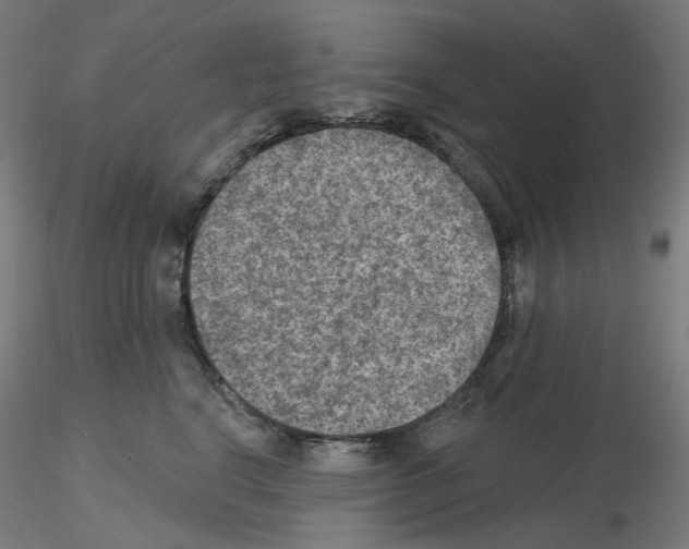 X0000115610664200912221208