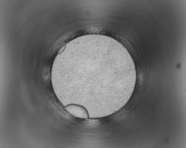 X0000115610665200912221208
