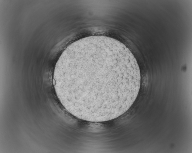 X0000115610666200912221208