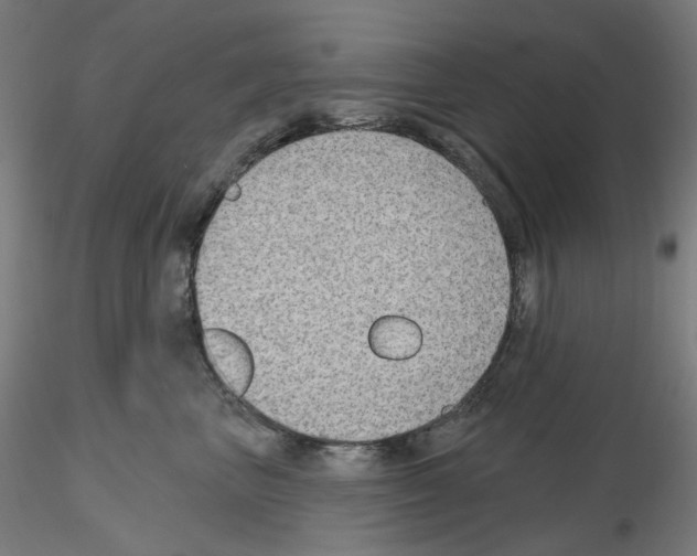 X0000115610667200912221208