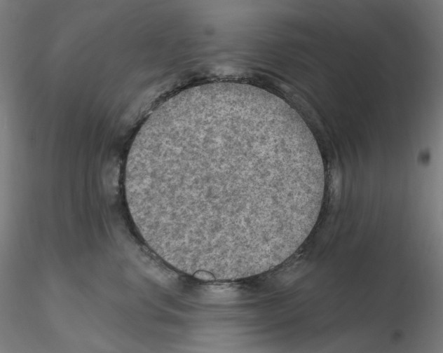 X0000115610668200912221208