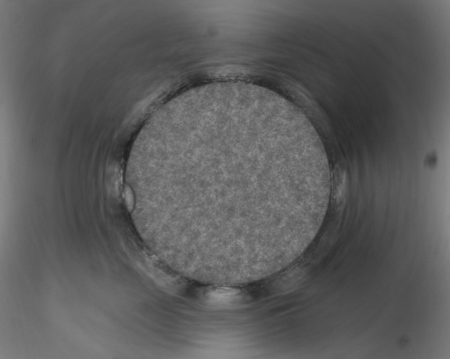 X0000115610669200912221208