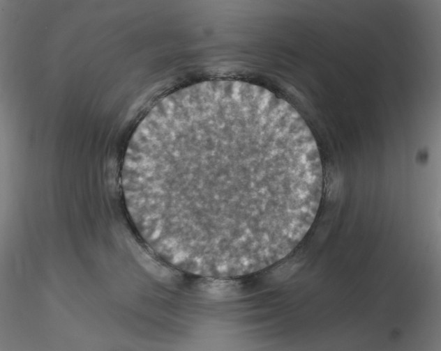 X0000115610670200912221208