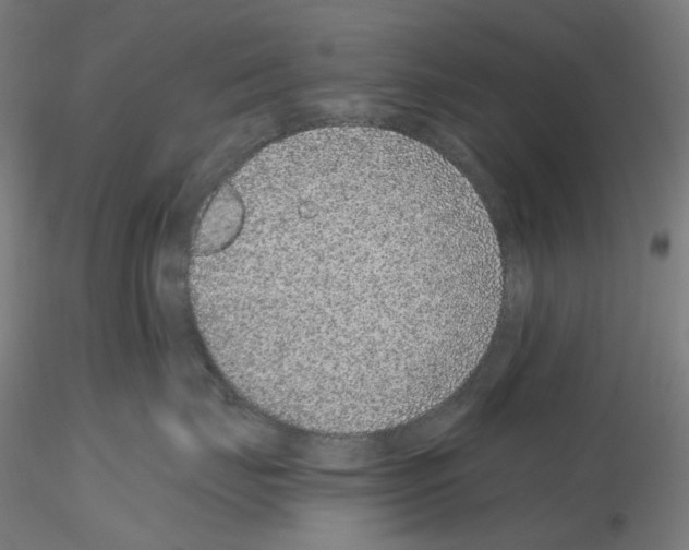 X0000115610671200912221208