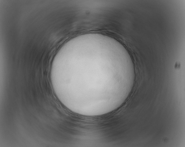 X0000115610672200912221208