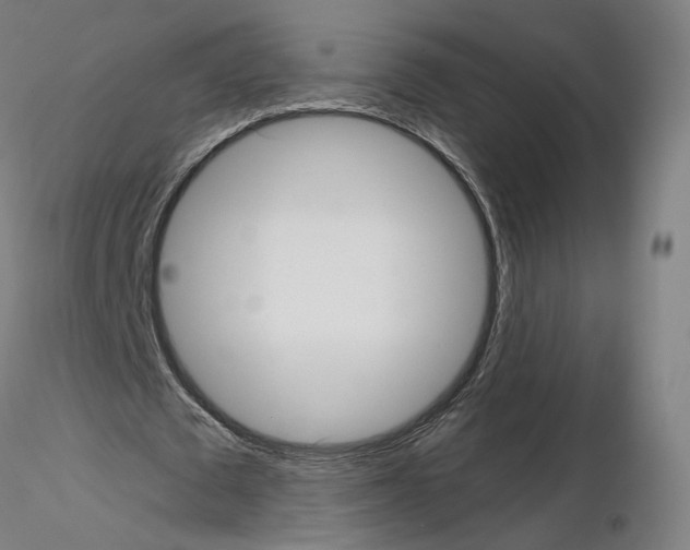 X0000115610673200912221208