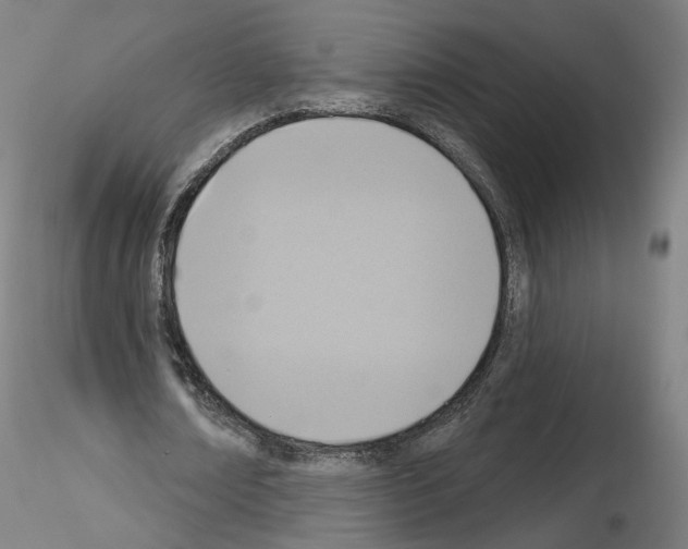 X0000115610674200912221208