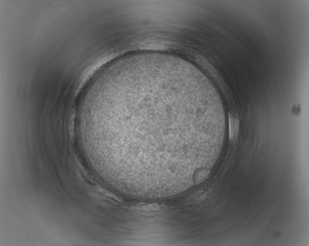 X0000115610675200912221208