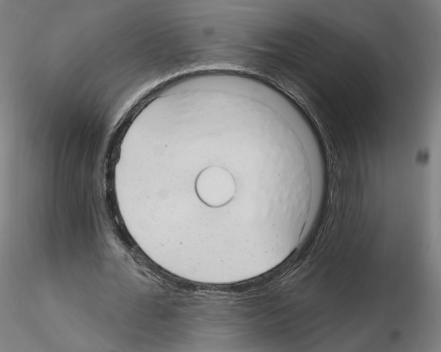 X0000115610676200912221208