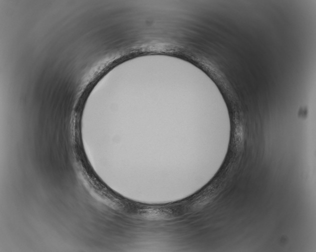 X0000115610678200912221208