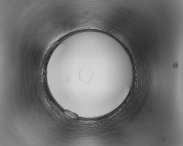 X0000115610680200912221208