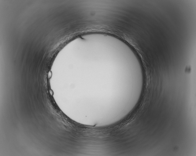 X0000115610681200912221207