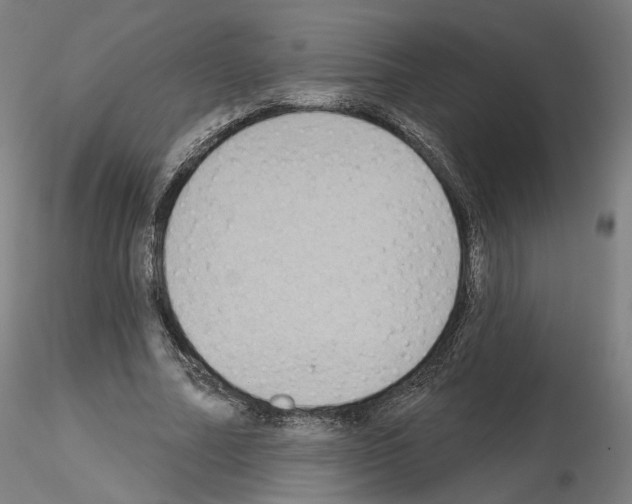 X0000115610682200912221207