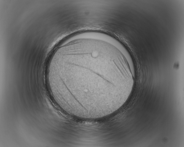 X0000115610684200912221207