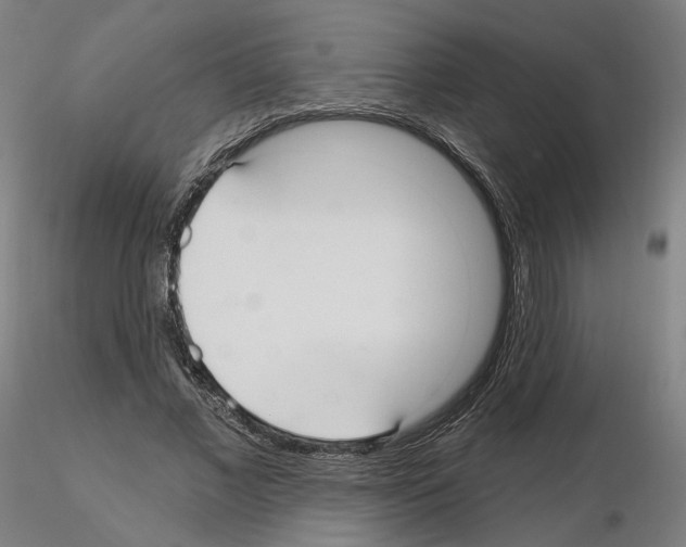 X0000115610685200912221207